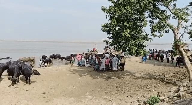 ग्रामीण और गोताखोर शव की कर रहें हैं तलाश