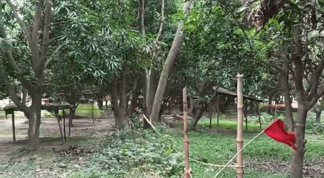 मधुबनी में जमीन से अवैध कब्जा हटाने गई पुलिस टीम पर असमाजिक तत्वों ने जमकर की पत्थरबाजी