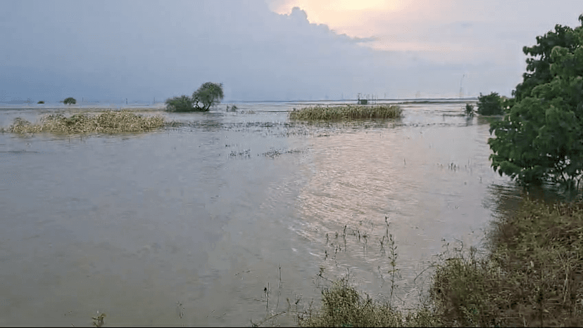 धरहरा प्रखंड के कई टाल इलाकों में हाल बेहाल, नये इलाके को भी जद में ले रहा