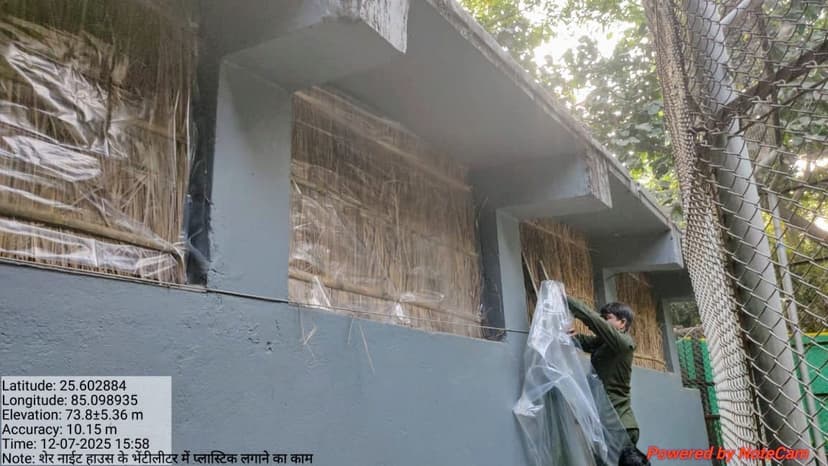 अजगर को कंबल और चिंपांजी को च्यवनप्राश, चिड़ियाघर में सर्दी को मात देने की तैयारी