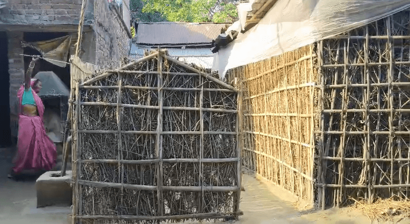 कटिहार के गरभेली पंचायत में बन्दर का आतंक,लोग परेशान