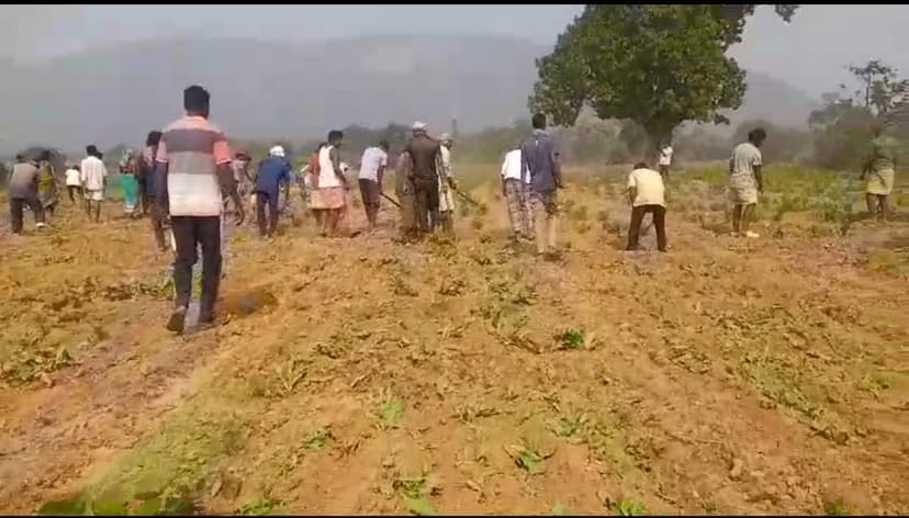 सरायकेला में अफीम की खेती के खिलाफ जागरूकता अभियान, ग्रामीणों ने लिया प्रतिबद्धता