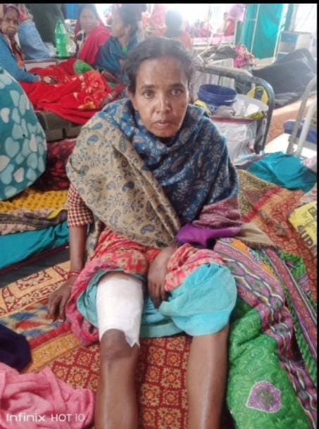 चंदनकियारी में जंगली सूअर का हमला, एक की मौत, दो घायल